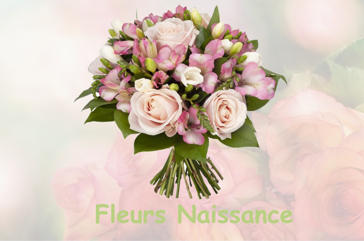 fleurs naissance LE-TREMBLAY-SUR-MAULDRE