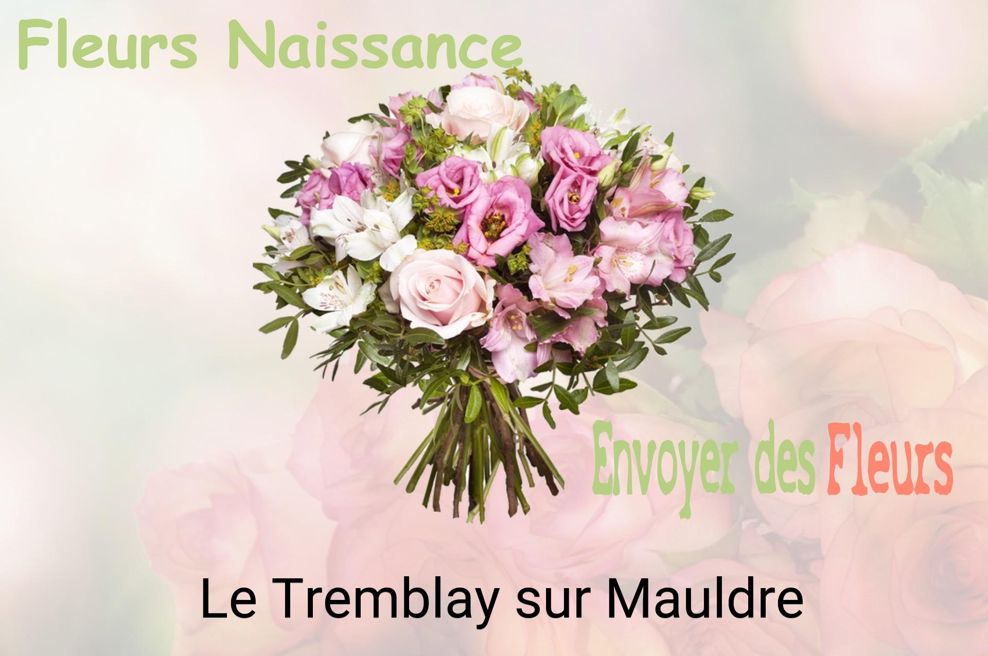 Bouquet de fleurs de naissance livré à Le Tremblay-sur-Mauldre