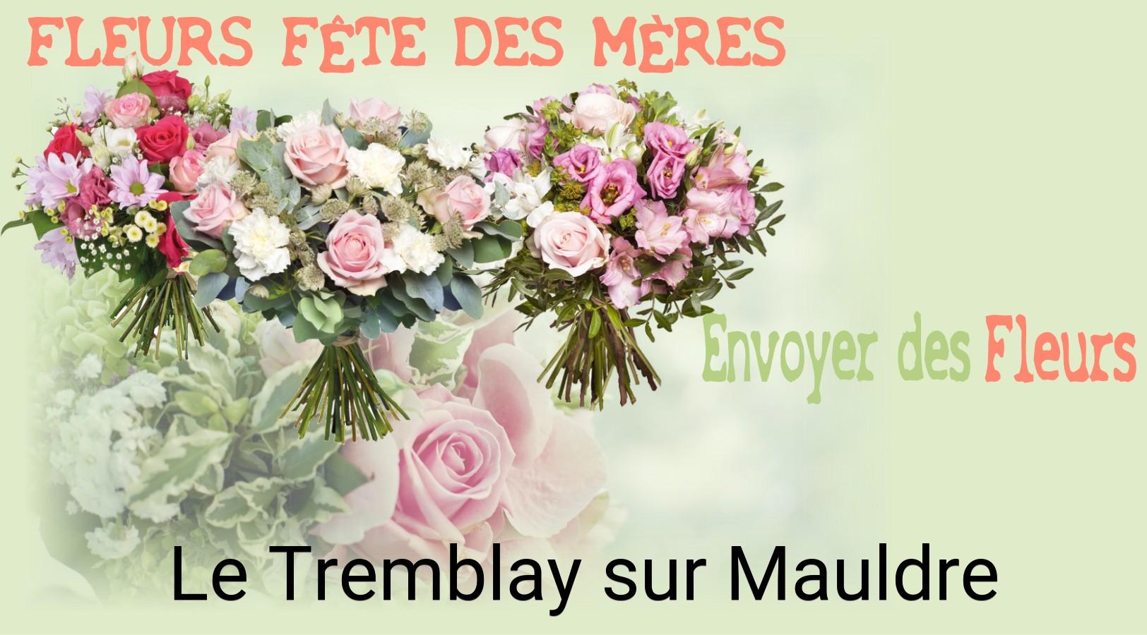Bouquet de Fête des Mères livré à Le Tremblay-sur-Mauldre